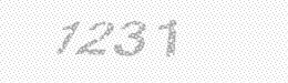 Visual security code — type the characters shown in the image
